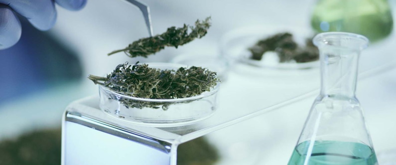 Challenges Of Lab Testing In The Cannabis Industry | Blog